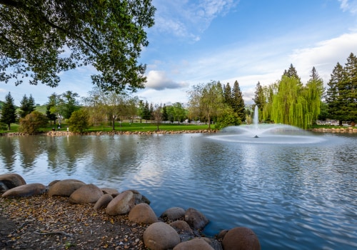 Digital Marketing Strategies for E-Commerce Businesses in Danville, California